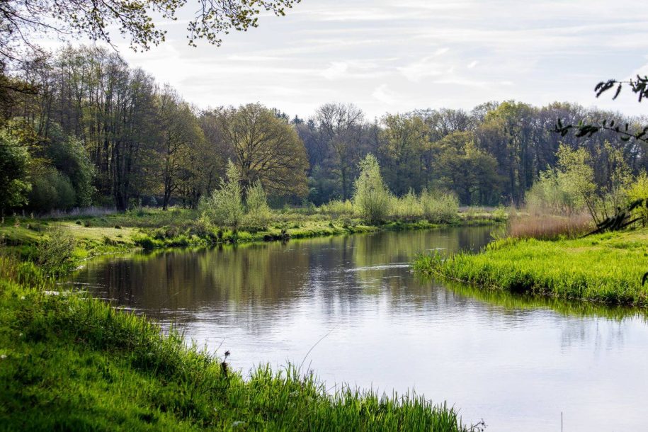 oeverlicht-de-regge-ommen